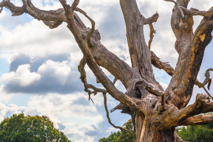 TtW|1 - Base - High Dynamic Range 2-1